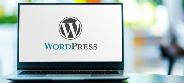 COMPLETE WordPress Website Design Masterclass